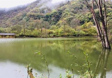 浪漫之旅.國(guó)為踏春季